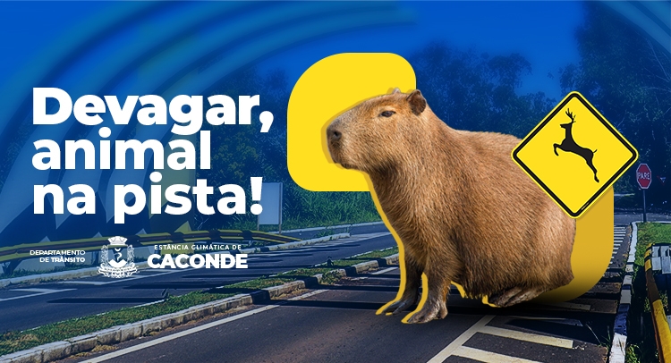 Capa da notícia